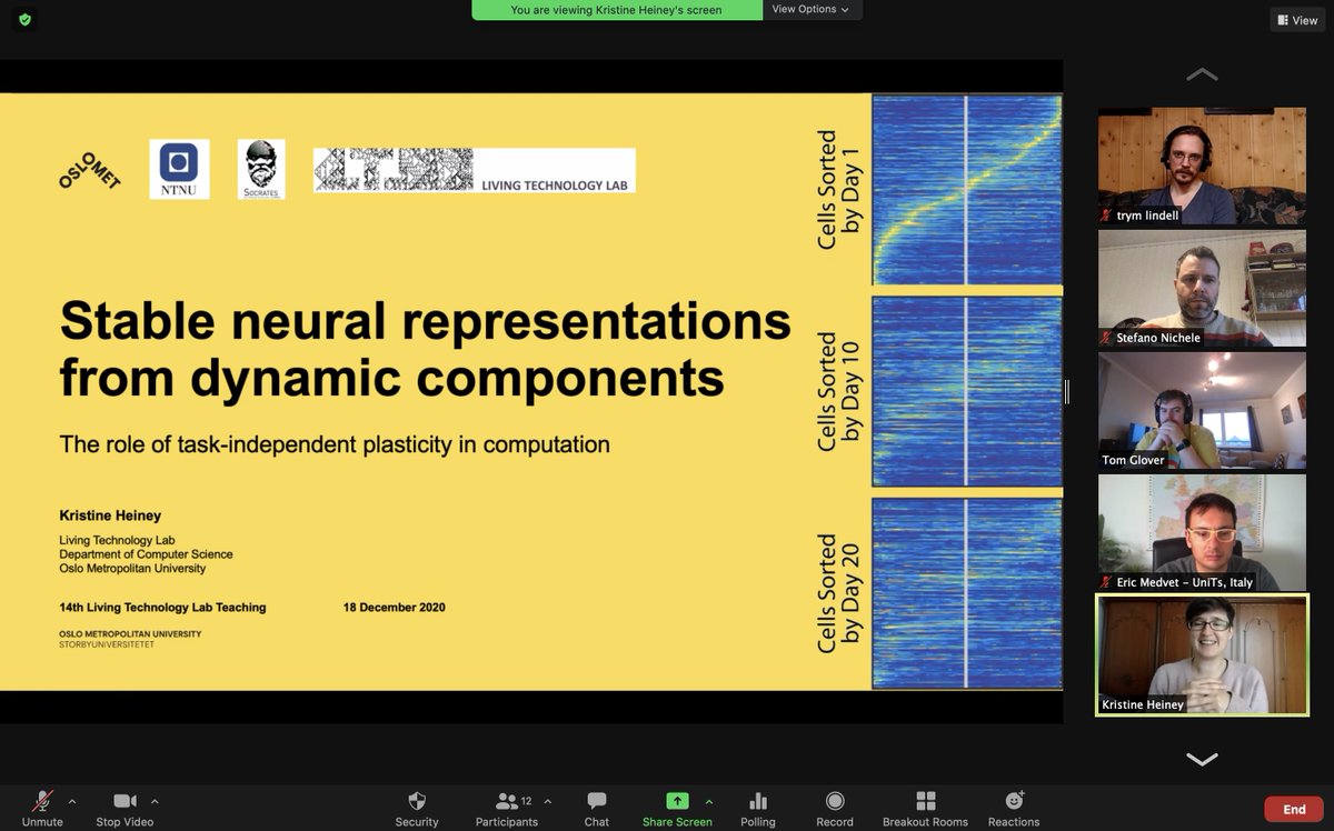 stenichele's tweet image. Today&apos;s #LivingTechnologyLab teaching by 
@KrisHeiney @OsloMetAI @SocratesNFR on &quot;stable neural representations from dynamic components: the role of task-independent plasticity in computation&quot;. Very relevant for AI &amp;amp; how ANNs forget when learning new stuff @OsloMet