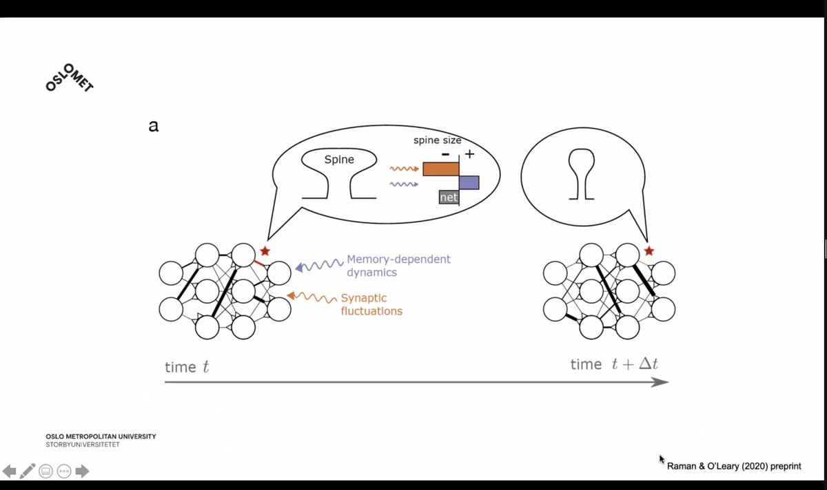 stenichele's tweet image. Today&apos;s #LivingTechnologyLab teaching by 
@KrisHeiney @OsloMetAI @SocratesNFR on &quot;stable neural representations from dynamic components: the role of task-independent plasticity in computation&quot;. Very relevant for AI &amp;amp; how ANNs forget when learning new stuff @OsloMet