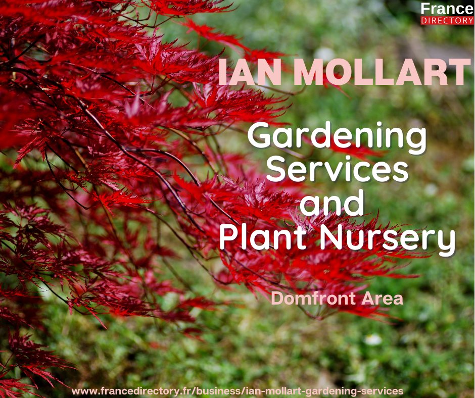 FranceDirector2's tweet photo. Ian specialises in all aspects of gardening with a large Plant Nursery with a very many varied types of plants, flowers and bushes.   (Torchamp, Orne)

https://t.co/ml9ppW4Xkf

#plants #flowers #france #expatsfrance #gardening #gardeners #gardenmaintenance https://t.co/vs4aQlXWqP