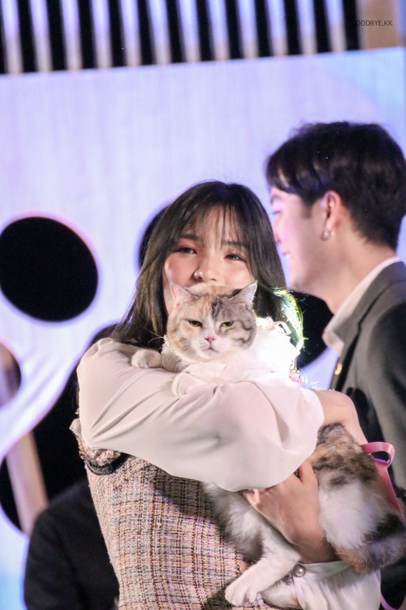 goodbye___kk's tweet photo. อรอุ๋งและมิสเนโกะยาของเขา🥰
#OrnBNK48  #TheCatSociety #MissNekoya https://t.co/jLBYO0roN6