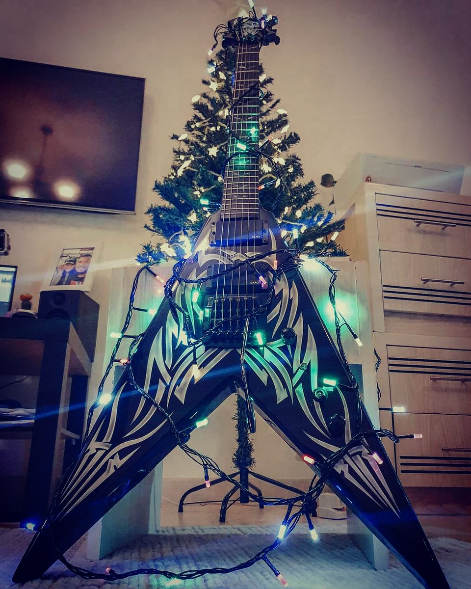 Flying 

#guitars #guitarplayer #bcrichkkv #musician #musicians #Trending