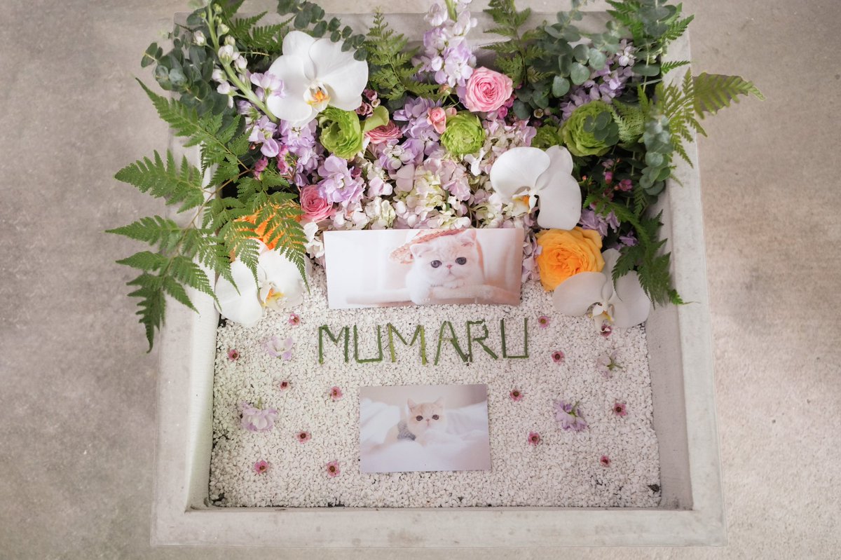 Muji Sama tweet media