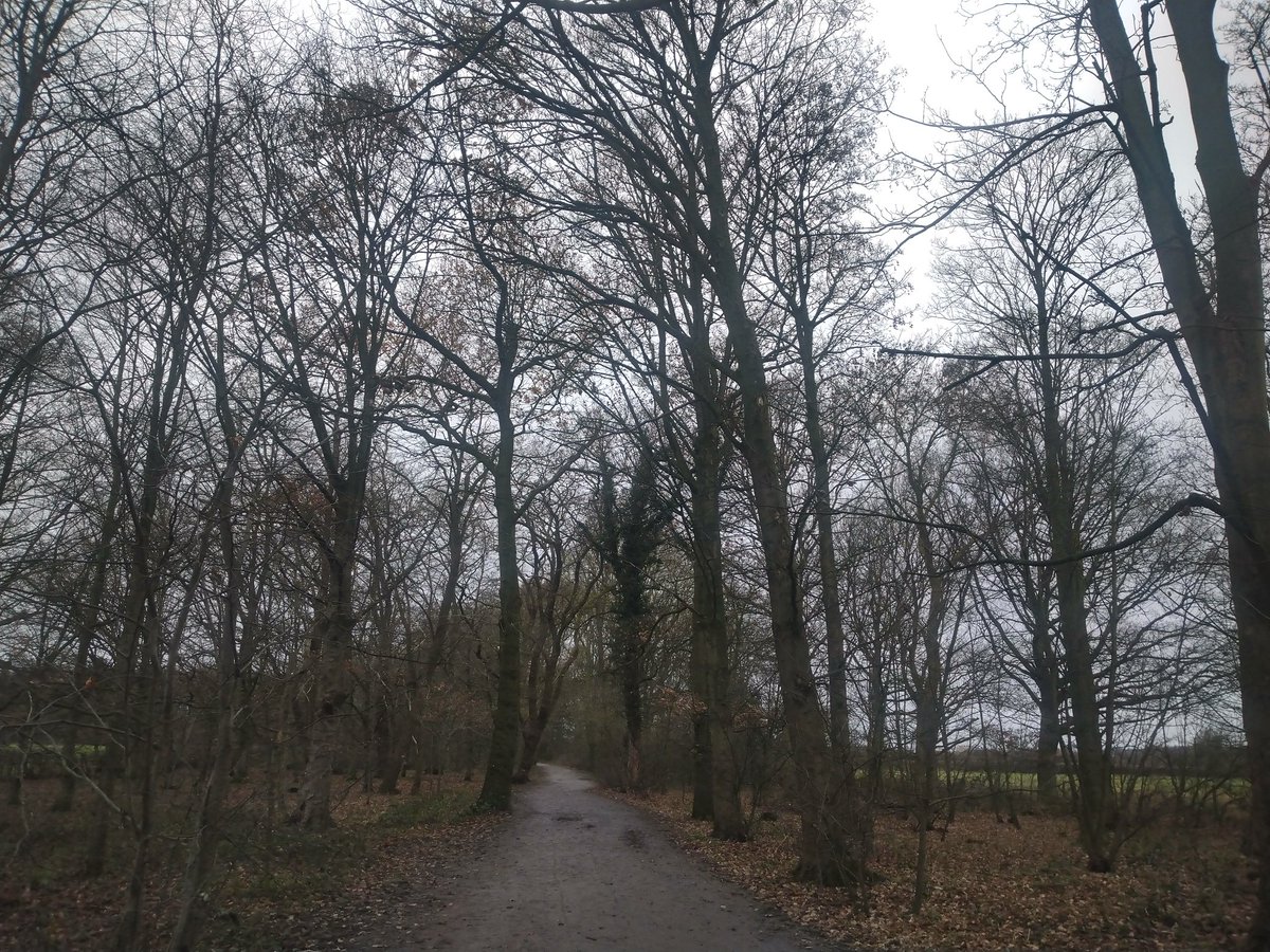 Ruth_Hawley's tweet photo. Lots of work has meant not enough opportunity for #running in my life recently. Today has given me that chance 😊.
For me, it's not just the running, its also being outside, connection to #nature & the chance for a post run coffee in a pretty spot. #OccupationalAnalysis https://t.co/yvpNYOtdV2