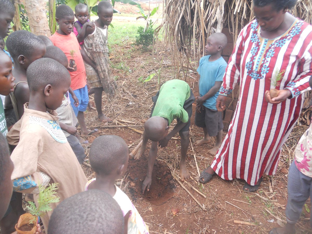 SchoolsTrees1's tweet photo. Way back in 2016, we embarked on a tree planting expedition, working with children in communities and schools as way of tackling Climate Change. Fast forward to 2020,the trees are doing pretty well in Buwolero Village, Jinja. All we need is action backed with monitoring. https://t.co/6Rz19Eld4h