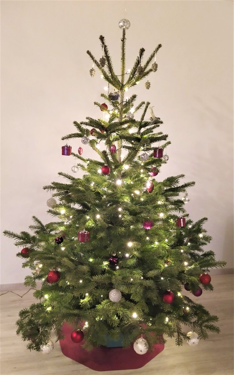 FloortexDE's tweet photo. Für #bodenschutz unter dem #weihnachtsbaum sorgt die 9mat von Floortex https://t.co/QsWkTT6IIB
