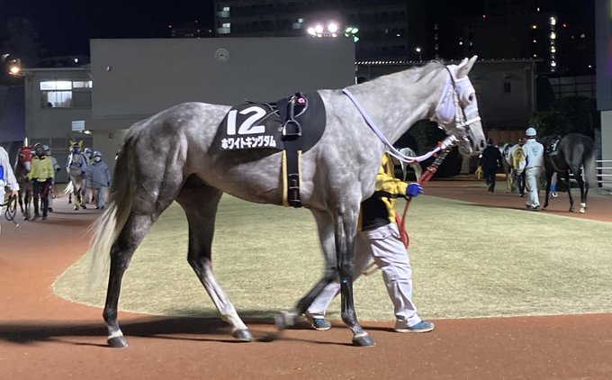 ホワイトクリスマス賞のtwitterイラスト検索結果