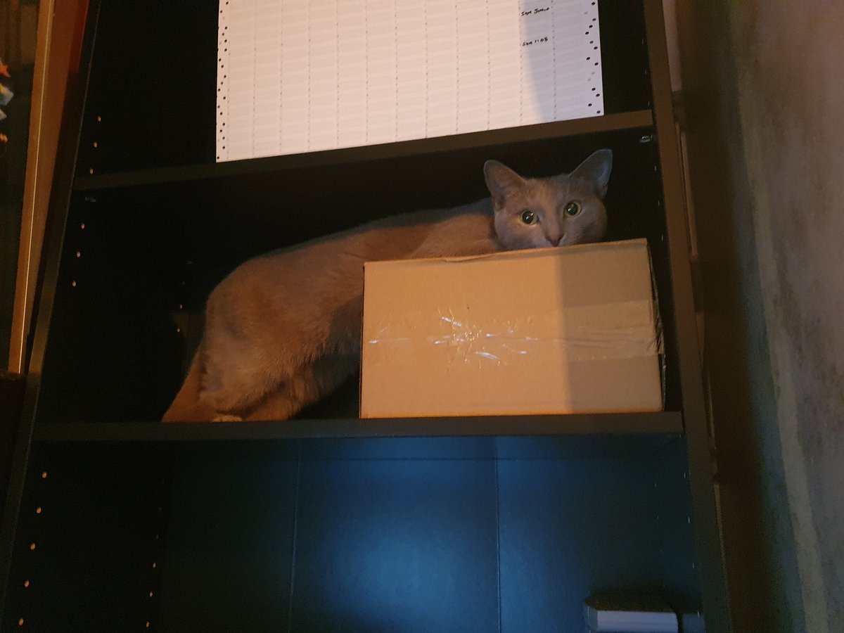 ksbaker1990's tweet photo. Think she's found her present....#workdistraction https://t.co/J4ChZ3xXtK