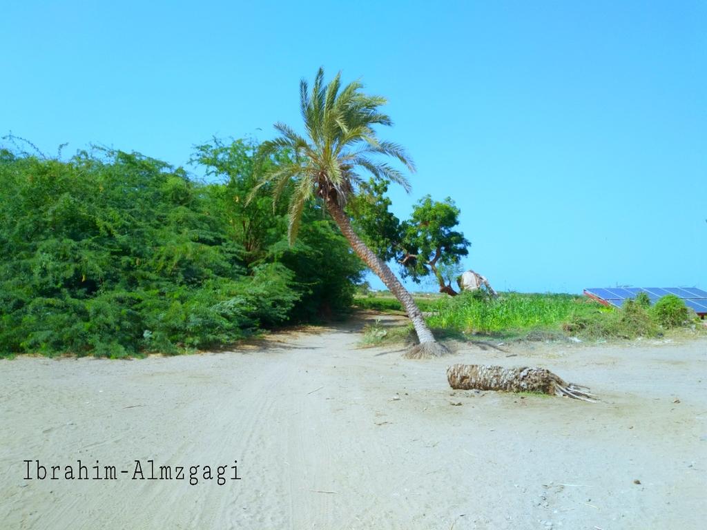 #الخوخة
جمعتكم مباركة