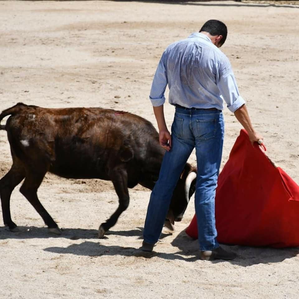 El campo...ese lugar donde se ve la verdadera madurez, la verdadera tauromaquia que cada uno lleva dentro, donde no hay presión y todo fluye... <a href="/rafaeldejulia/">Rafael de Julia</a>
#RafaeldeJulia 
#MiTorero 
#MozodeEspadas
instagram.com/p/CI71IlsJdLI/…