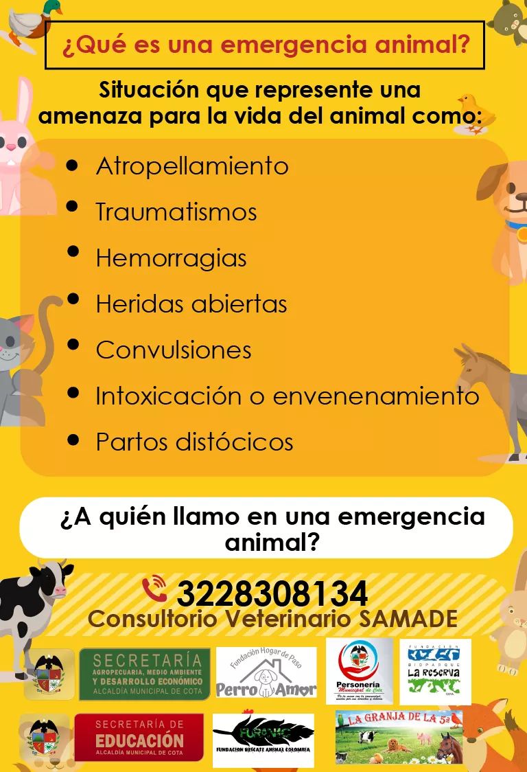 Furanic_Col's tweet photo. ¿Qué es una emergencia animal? ¿A quien llamo en una emergencia animal en Cota? https://t.co/zXGDkq3AnR
