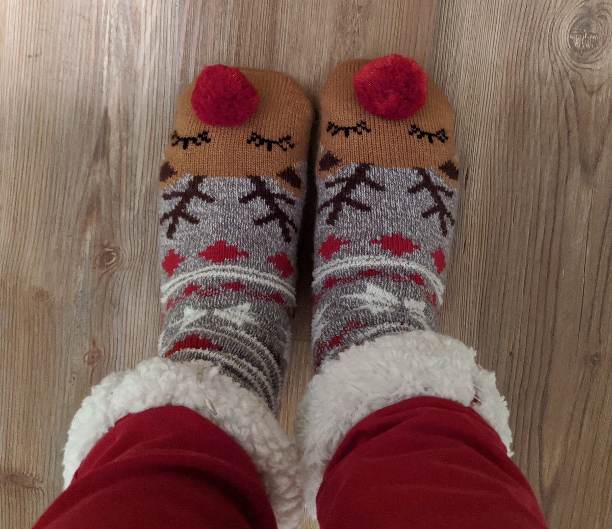 WGPearsonSTEAMTigers tweet media