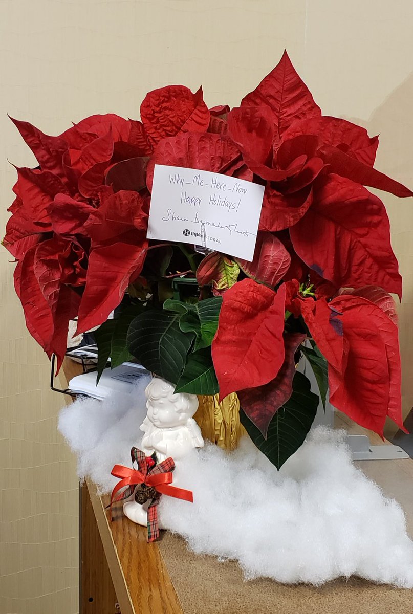 PrincipalSuggs's tweet photo. 🗣I am so thankful for all the kindness and generosity that have been shown for the families at my school!  I hope these gifts of kindness will brighten up someone’s holiday!! @GOAPDURR @GlenOakAPBrown   @PEORIA150 @dkherat @ilprincipals https://t.co/5xUGmY24hb