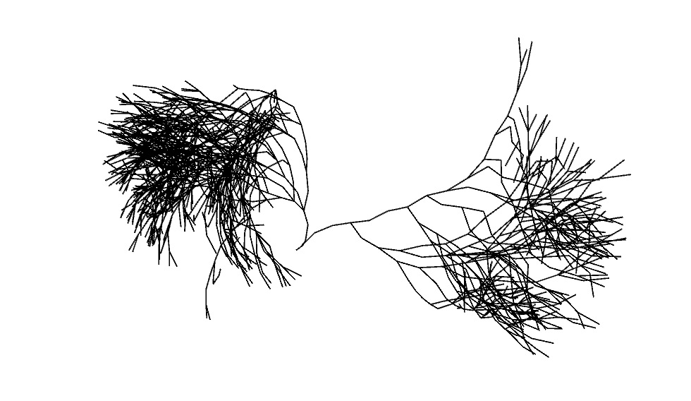 phenotypica's tweet image. Exploring ways of visualizan DNA, in 2016 we made an L-system that expresses a metagenomic sequence.
We are still fascinated by L-systems and their fractal forms.

#artandscience #phenotypica #Mathematics #art #mathsandart #mathsisfun #lsystems #fractals #digitalart #fractalart
