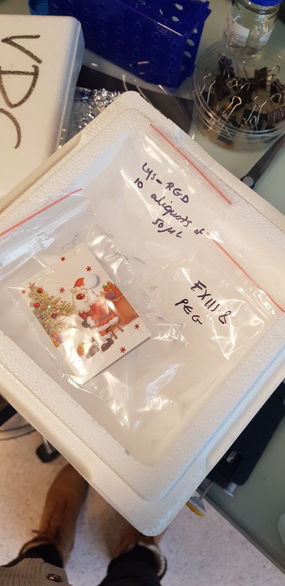 Santa is bringing you some PEG 🤩❄! (Shipping some PEG to collaborators before Christmas!) 

Happy Holidays everyone and stay safe ! 👩‍🔬🎄🎊