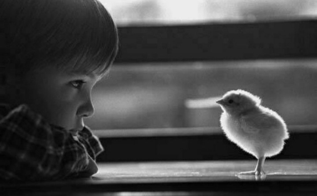 alwareef90's tweet photo. نلتزم الصمت حينما يعجز الكلام عن وصف ما نشعر به ...😔 https://t.co/UznaJIC1Cy