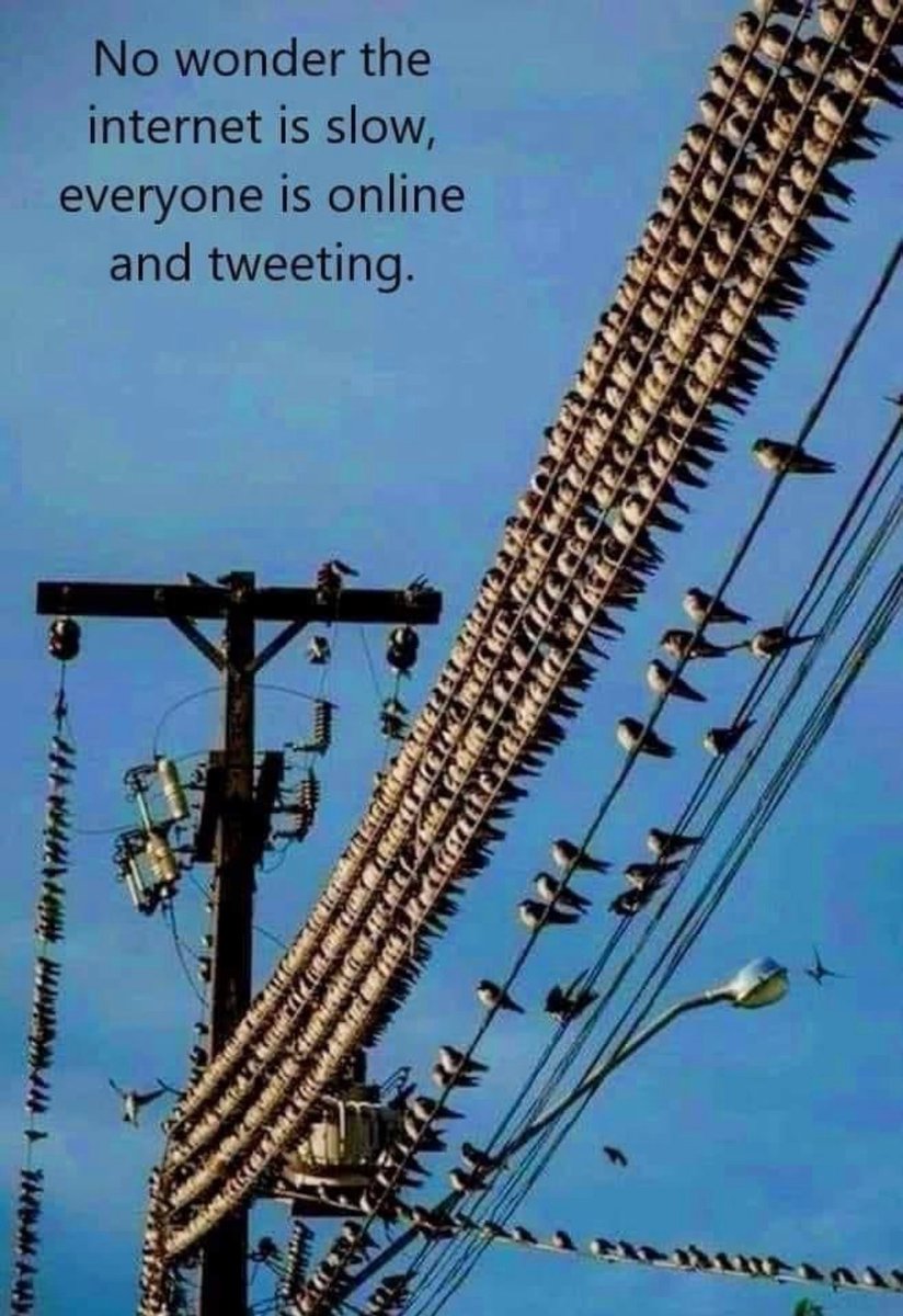 Good morning everyone! Hope this brings a smile to your face this Friday!