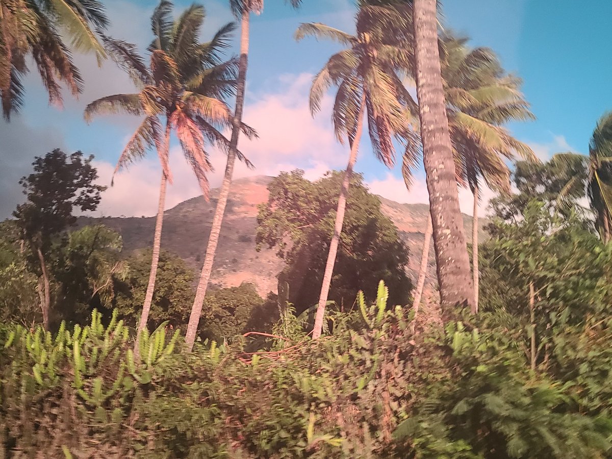 Saturday we hit the road for a 3 day excursion. No filter. Taken through dark tinted windows that made my black bag appear red.  #Haiti