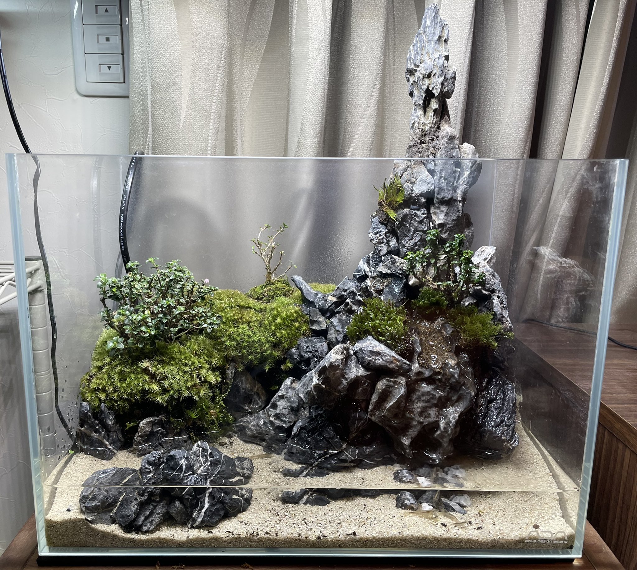 くろすけ A Twitter 滝のある山岳アクアテラリウム Aquaterrarium Paludarium Terrarium Terrariums Moss Bonsai Bonsaiart Plantedtank Aquascape Vivarium Mossterrarium アクアテラリウム パルダリウム 苔 盆栽 テラリウム 植物のある暮らし