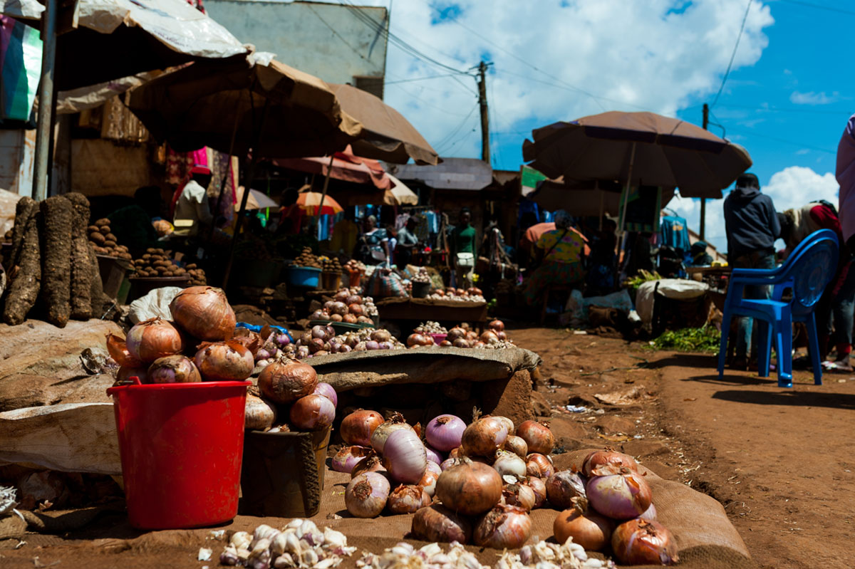 GreenTecCapital's tweet photo. #Freshbag our Cameroon-based portfolio company has successfully completed their One Woman Business campaign and recruited more than 700 applicants to work as digitally enabled food vendors. Read more: https://t.co/sScAvuNZUv
#buyamsellam #streetvendors #cameroon #yaounde https://t.co/HCbIs9MgMd