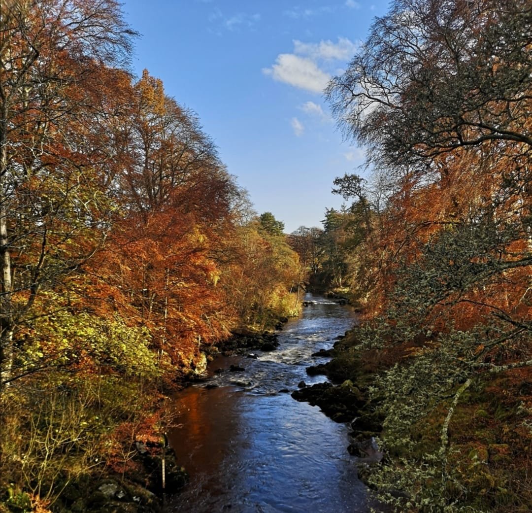 "Native woodland offers a number of benefits to riparian ecosystems; structured riverbanks, shade in summer months & a source of nutrients via fallen leaves & deadwood, providing a resource to freshwater invertebrates & through the food chain to wild fish stocks, otters & birds."