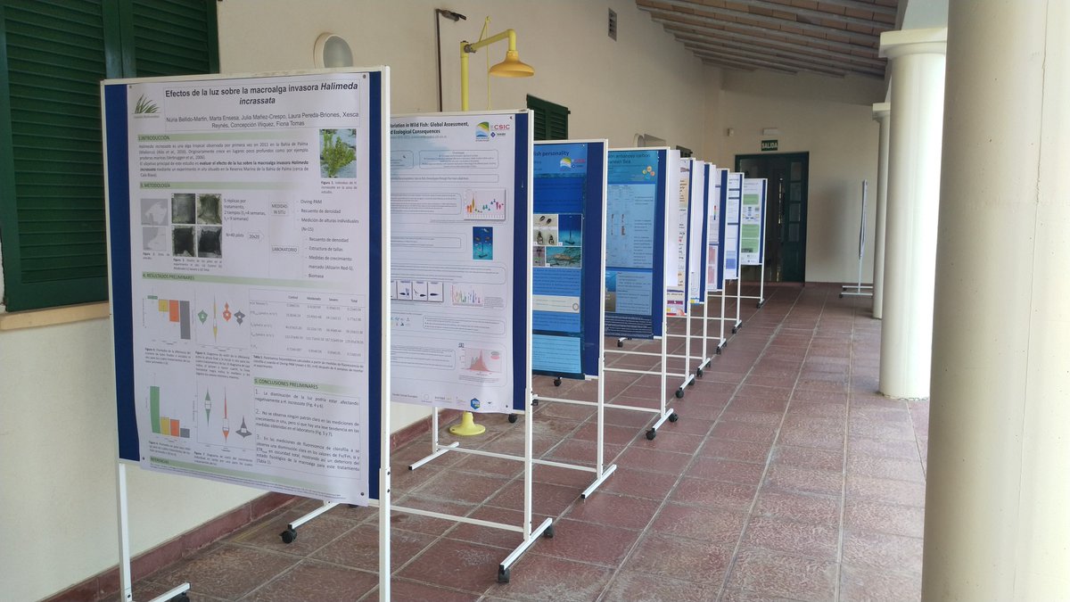 IMEDEA (UIB-CSIC) tweet media