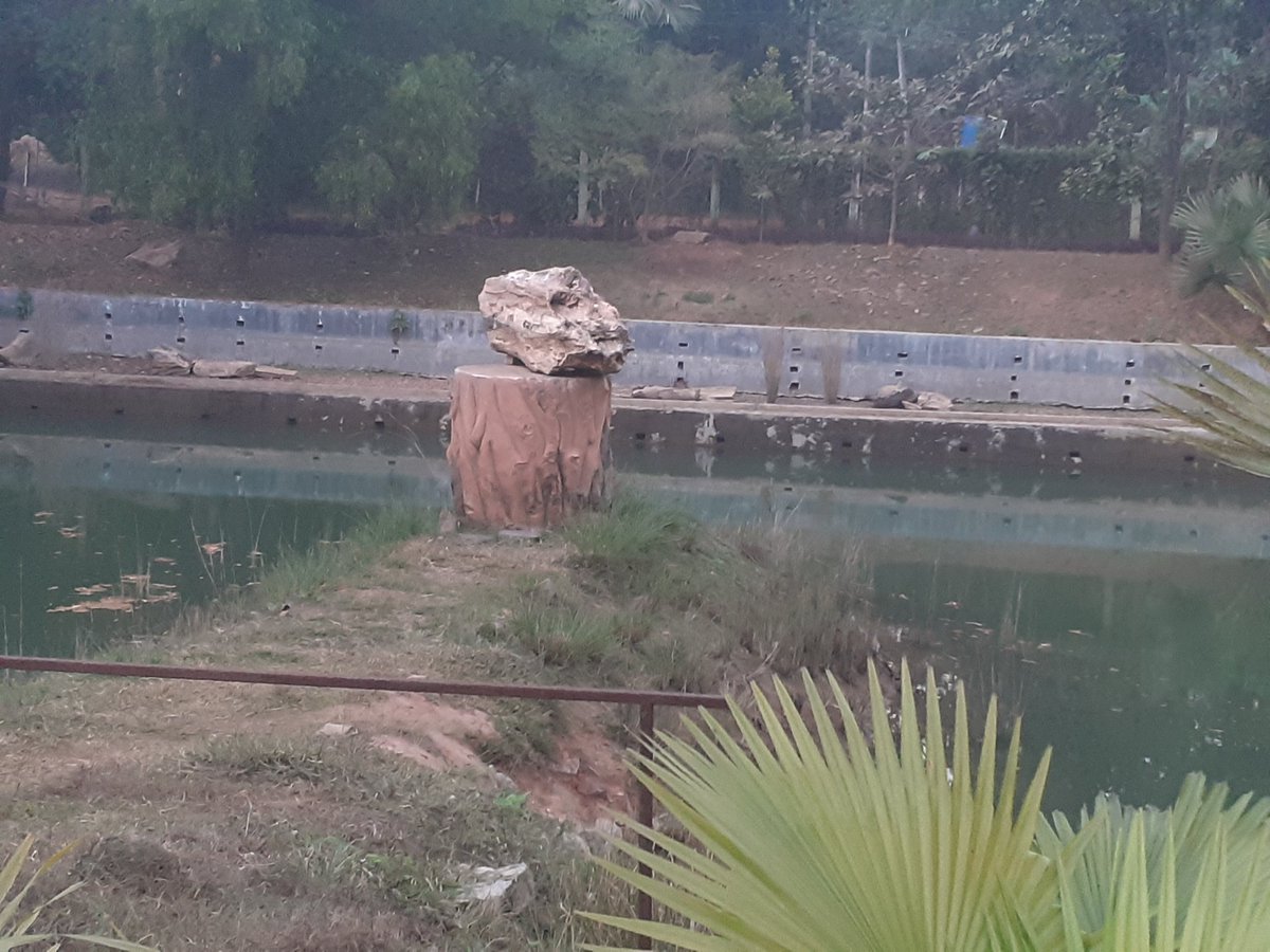asissadhu's tweet image. #WoodFossil Park at Bolpur #SaveforestSavedreams