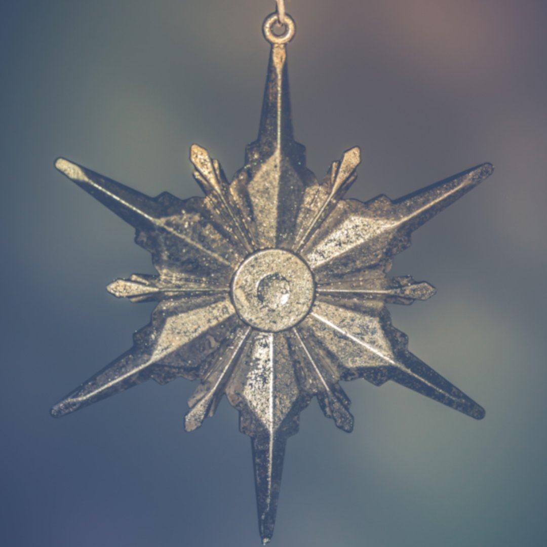 Maandag 21 december begint de Sterrenjacht, een initiatief van Versa Welzijn, Buurten met Buren, Vrijwilligerscentrale Huizen en de Protestantse Gemeente Huizen. Heb je ons eerdere bericht gemist, dan vragen we bij deze ook jou om een Kerstster in je huis of tuin te plaatsen. ⭐