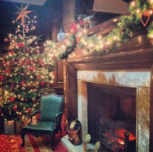 Party Ingredients tweet media