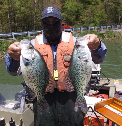 pafishandboat's tweet photo. PFBC #BiologistReport for Lake Oneida, Butler County, Fisheries Management Area 1. Read the May 18-22, 2020 Trap Net, Hoop Net, and Night Electrofishing Survey findings on our website: https://t.co/crgdcHoj0J
#FisheriesFriday #panfish #crappies https://t.co/PBw90cUDNW
