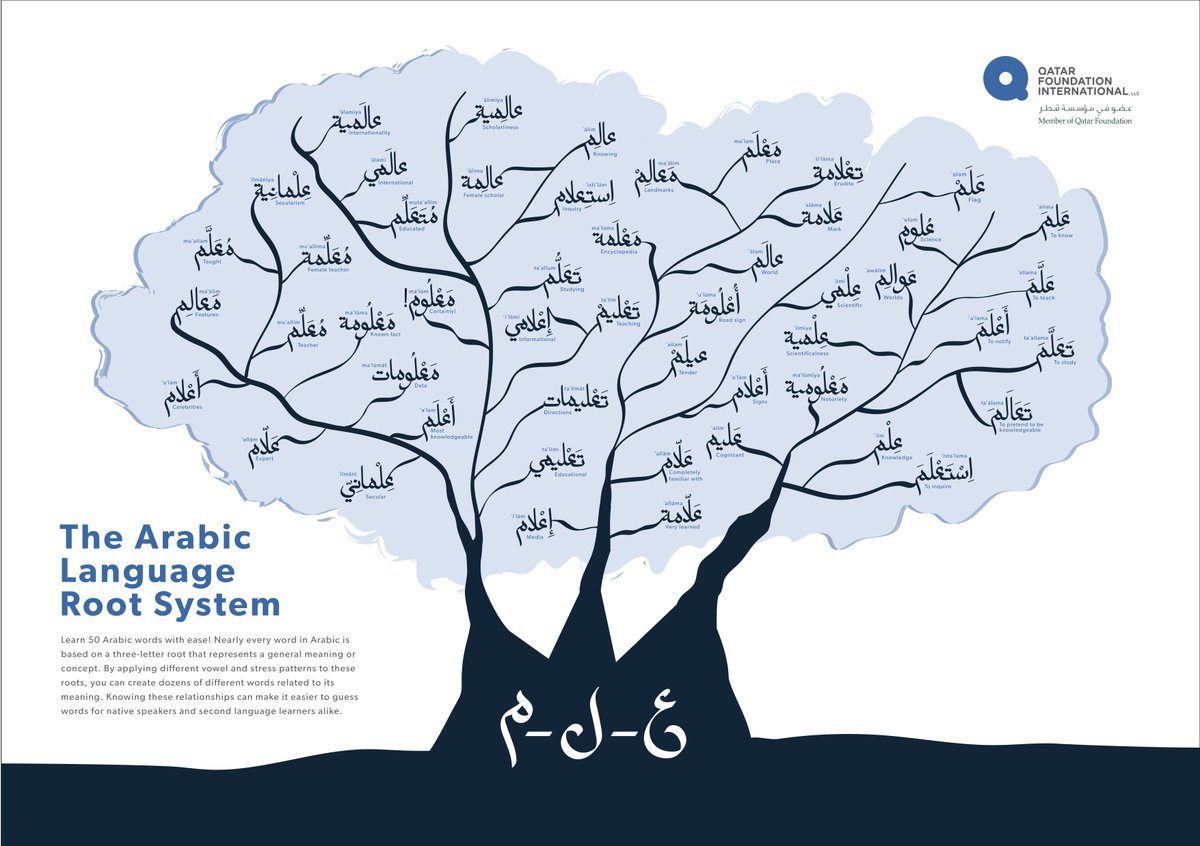 Something I love about Arabic is how words relate to one another. Here is a  tree that grew out of all the words made up of the root : ع-ل-م. Following  branches