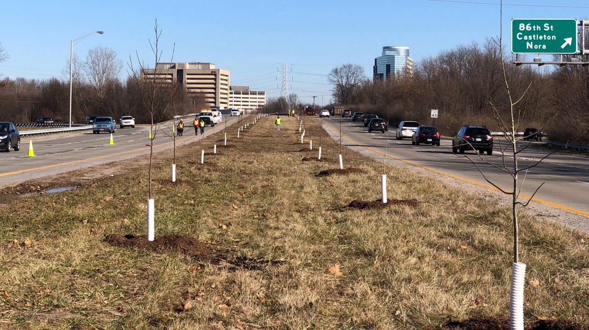 kibiorg's tweet image. Roadside trees reduce nearby indoor air pollution by more than 50% 🚗  🚛  . If you have a plantable location in Indianapolis where you would like to see more trees, go to kibi.org/trees to apply! #communitytrees #urbantrees
