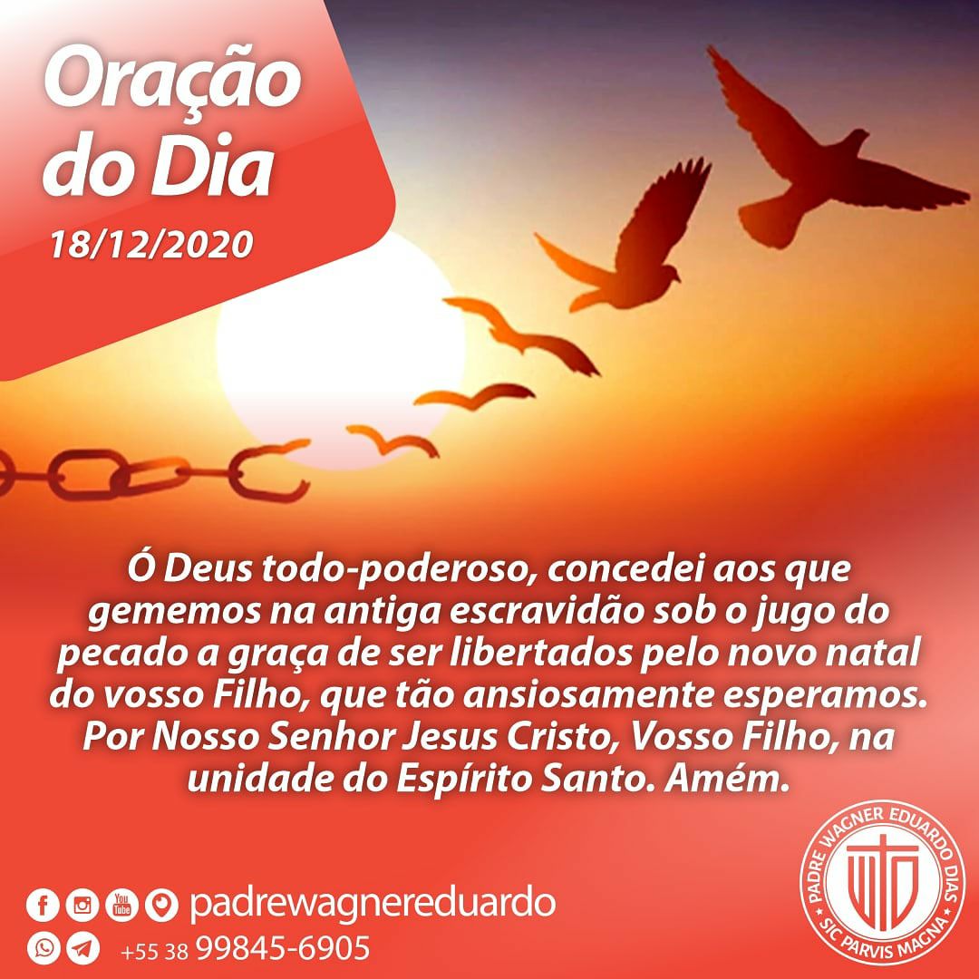 PeWagnerEduardo's tweet photo. #OraçãodoDia #oraçãodehoje #oração #dia #Senhor #Deus #TodoPoderoso #conceder #concedei #gememos #gemer #antiga #escravidão #jugo #pecado #graça #libertados #libertar #liberdade #novo #natal #Filho #Jesus #rezar #orar https://t.co/0dQiIfjqhf