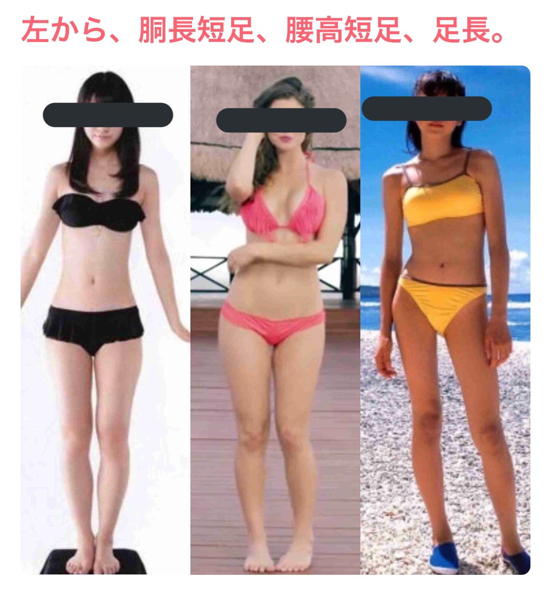 バニさん 骨格ストレート 骨格ストレートは足が長いと言われたりする けど わたしは腰位置が高くても骨盤が縦長でくびれから恥骨まで距離があり圧倒的に短足なんですよね いろいろ検索してたら同じような人がいて少し安心しました 短足ウェーブと