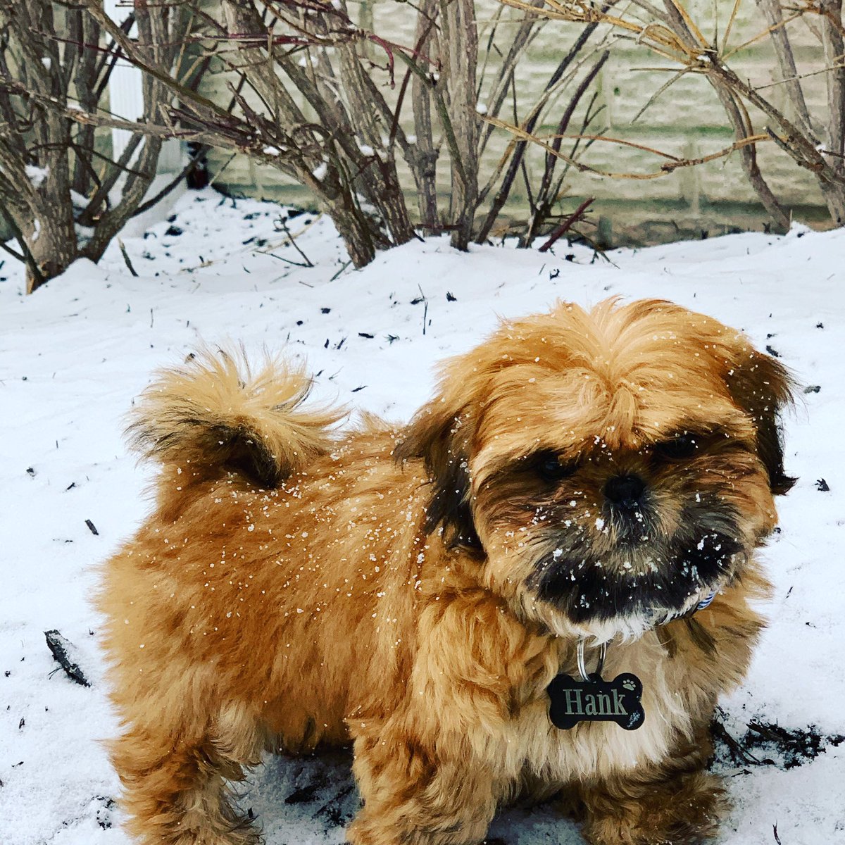 Day #11 winners, you ask?   Congrats to @MrsDeSanaSSW and <a href="/JZawalskiTeach/">juliez</a>!!!!!!  A prize is coming your way!  #c2cinwb