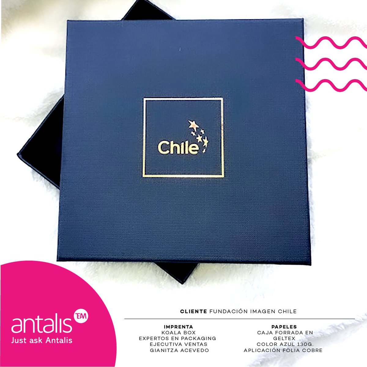 Antalis Chile tweet media