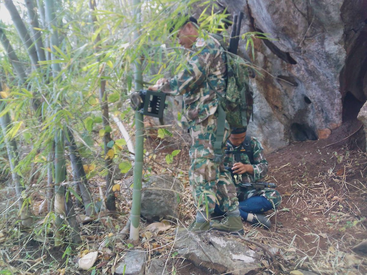 DNPnews_'s tweet photo. พบเลียงผา ในป่าช้างผาด่าน จ.แพร่

เจ้าหน้าที่เขตห้ามล่าสัตว์ป่าช้างผาด่านทำการตรวจสอบและเก็บกล้องดักถ่ายภาพสัตว์ป่าที่ติดตั้งไว้ในพื้นที่รับผิดชอบตั้งแต่วันที่ 3 ธันวาคม 2563 โดยดักถ่ายภาพสัตว์ป่าได้ 1 ชนิด คือ เลียงผา https://t.co/PAtkfv37n2