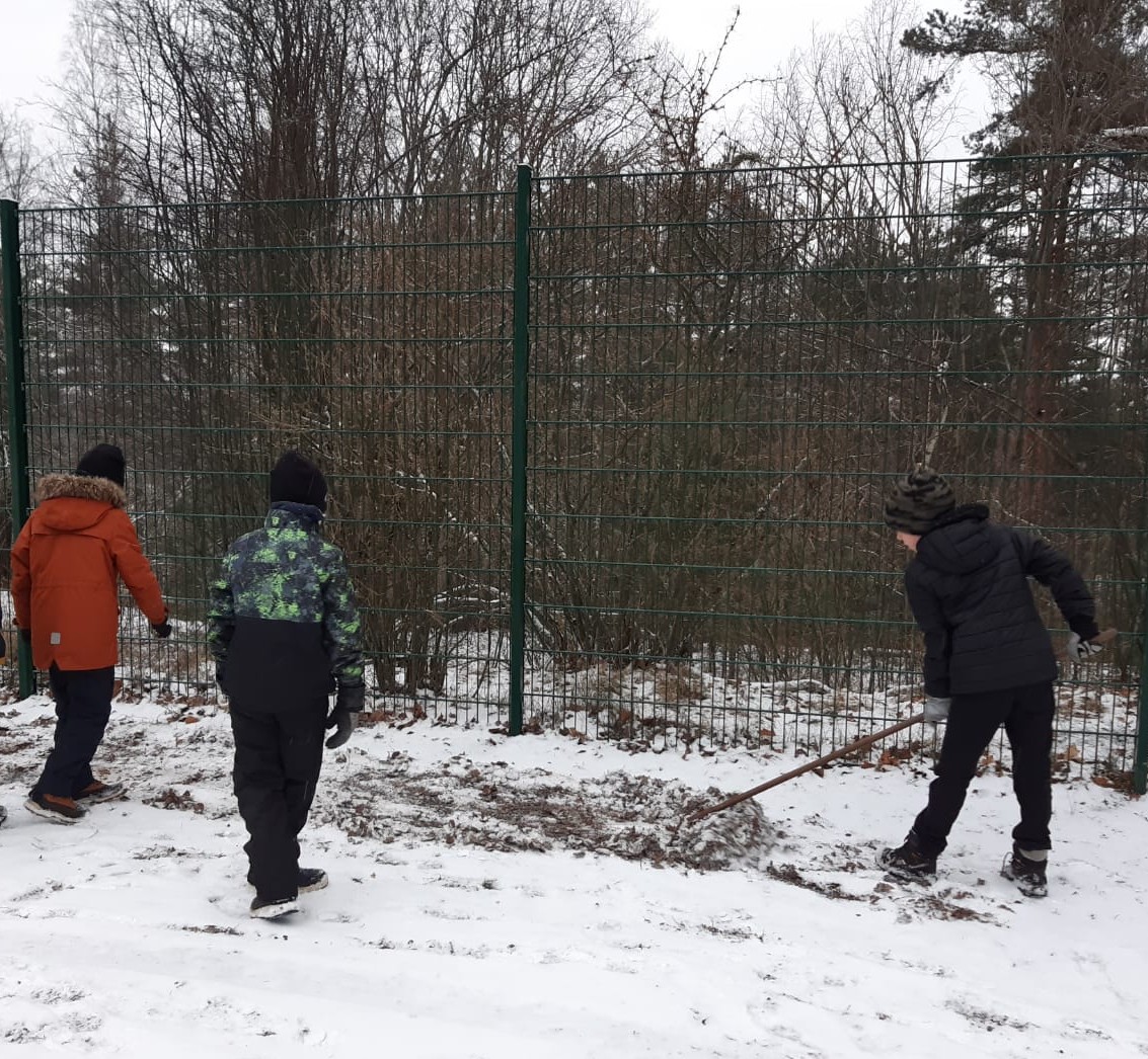 Kylvöpuuhissa pääsee myös verkostoitumaan: saimme vieraaksemme Villi vyöhyke ry:n väkeä Pirkanmaalta, jossa tavoitteena on toteuttaa kouluniitty Ylöjärven lukion piha-alueelle ja laatia kouluniittyopas. Mahtavaa 💚 #Sitralab #monimuotoisuus #oppimisympäristö #kouvola #pölyttäjät