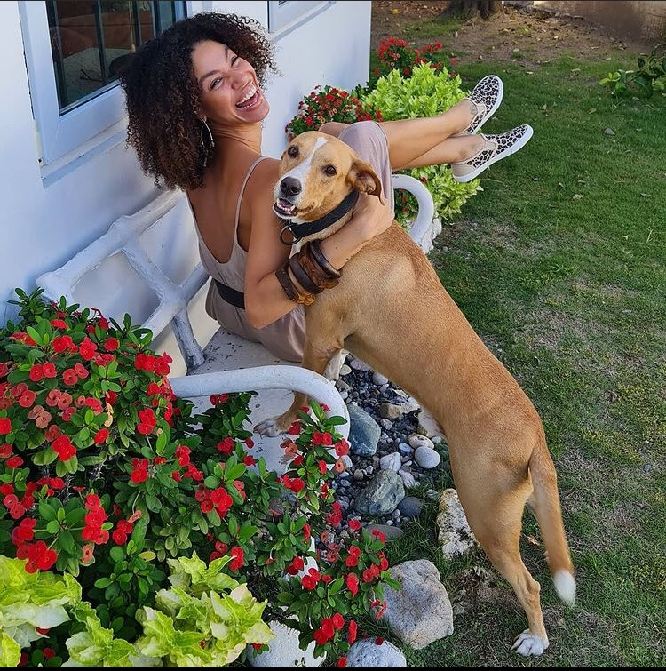 adoptmovement's tweet photo. That face you make when you’re told Christmas is next week Friday and that you’ve been a good doggie! What gifts will you be giving your pets?

#repostedfrom @IAMYENDI 

#jamaicanbrowndog #loyalpets #petsoftwitter #DogsofTwittter #adoptdontshop #aDog #aBestFriend #aDopt https://t.co/fd60lGmUcy