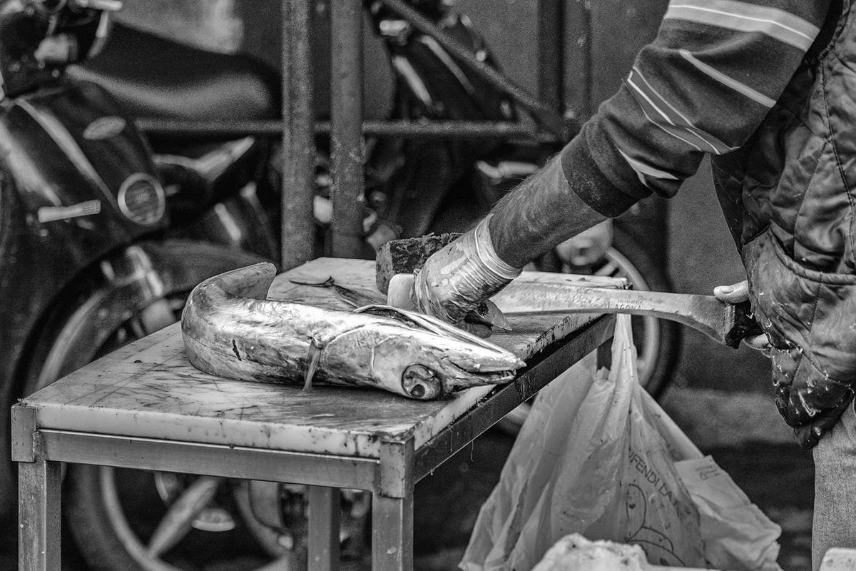 Pkostanzo's tweet photo. Piscaria is a famous fish market that is daily located in the street of Catania #blackandwhitephotography #catania #streetphotography #sicily #fishmarket #piscaria #streetfood #picoftheday #reportage https://t.co/osDn8lHWzn