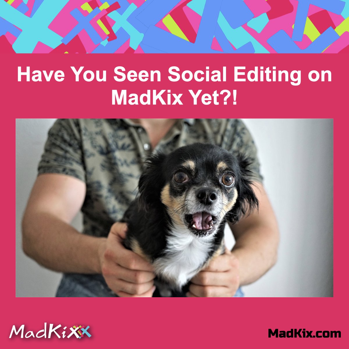 This little guy’s got the right idea! Jaw dropping goodness! MadKix.com to join our beta!