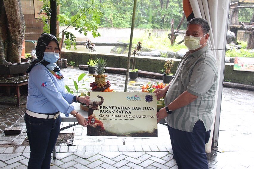 gembiraloka_zoo's tweet photo. Ceremonial Penyerahan Donasi Pakan Satwa dari PT. Softex Indonesia 🤝🤝

https://t.co/27y4GefdPb

#dolannyaman #glzoo #glzoojogja
#gembiralokazoo X #softexindonesia https://t.co/4tzEZPsvAI