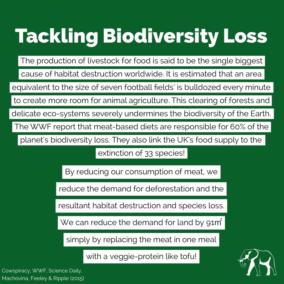 rebecca_gregson's tweet photo. 1/ Research links the animal agriculture industry to human ill-health, environmental damage and social justice issues like world hunger. For these reasons, a growing body of research has been investigating strategies to promote mass meat reduction. #MethodsX2020 @MethodsNW https://t.co/OtlWkFIegt