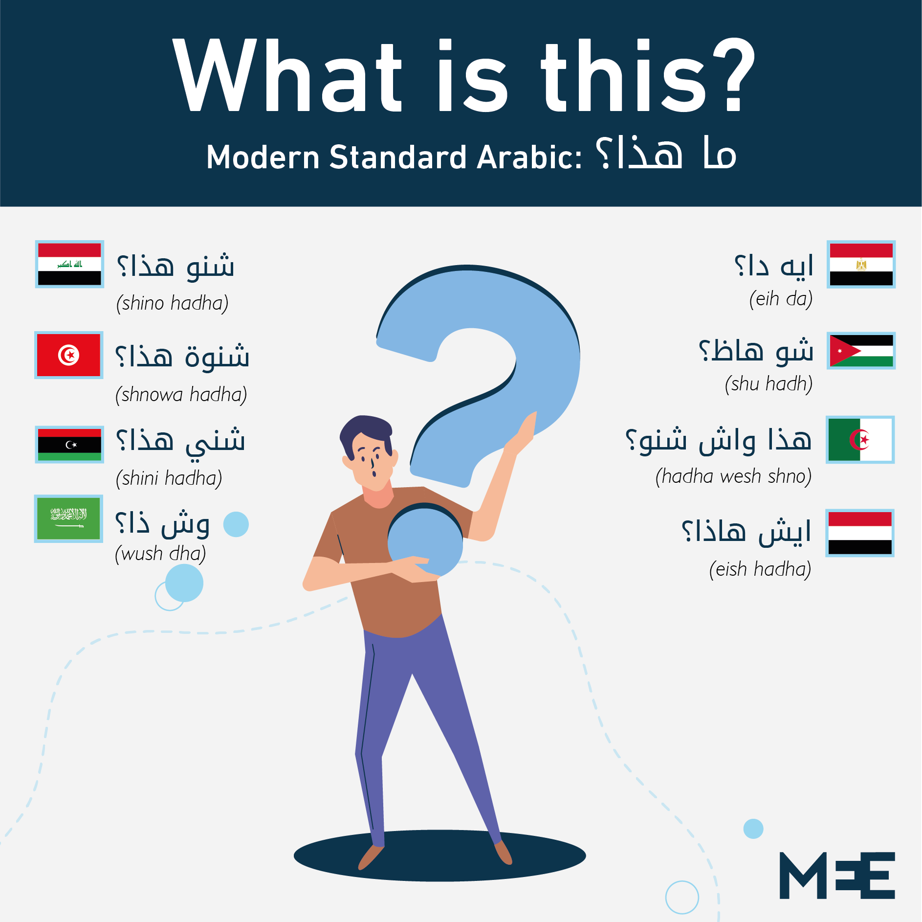 Middle East Eye on Twitter: "Arabic is the official language of 22