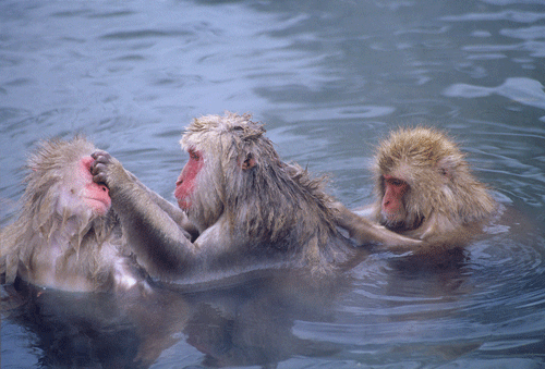 Vouchforme_co's tweet photo. [HAPPY FRIDAY] If you are wondering what it’s like to be in a #team pool, check out this picture. 🙊

If you want to know how much you can save on #insurance costs with a team pool, drop us a line.

#teaminsurance #funnyfriday #fleetmanagement #fleetmanager https://t.co/QZCt4Kts6e