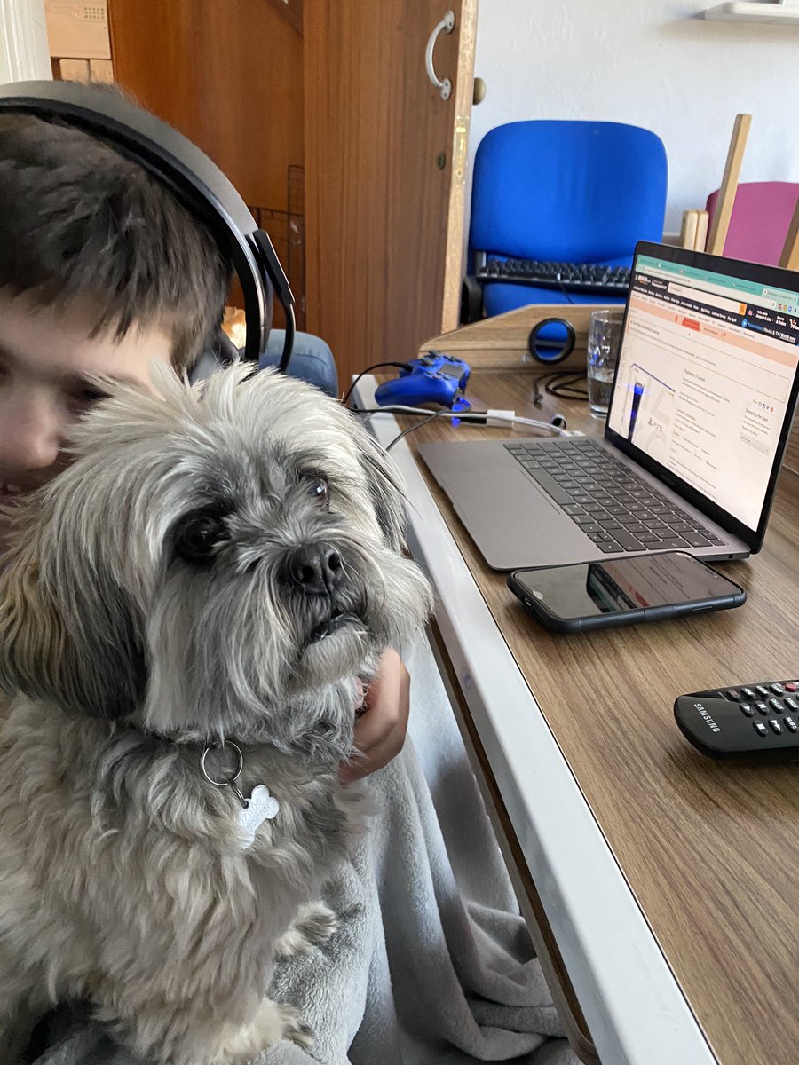 ajetm3's tweet photo. #jamesmartin Is that a Lhasa Apso dog you have??? Soooo cute xx https://t.co/dvV8u7aCTK