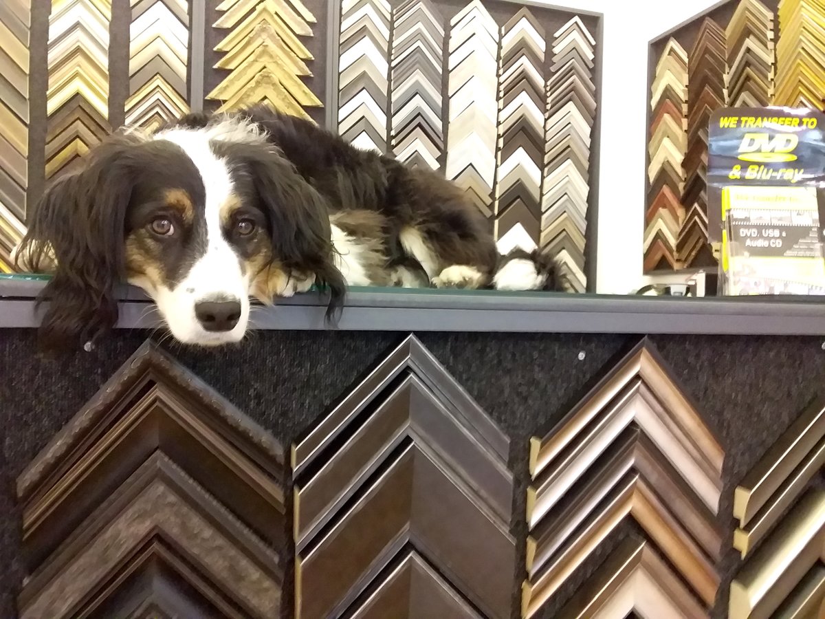 We’re allowed to remain open in #Battle &amp; #Hastings under Tier 3 restrictions – call us on 07927 604 743 for an appointment.