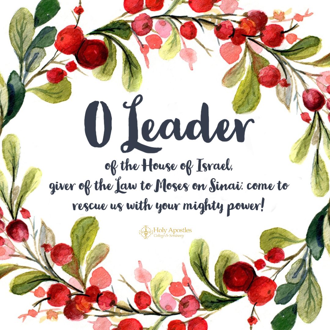 HolyApostlesedu's tweet image. O Leader of the House of Israel,
giver of the Law to Moses on Sinai:
come to rescue us with your mighty power! #OAntiphons #Advent2020 #OLeader #Adonai