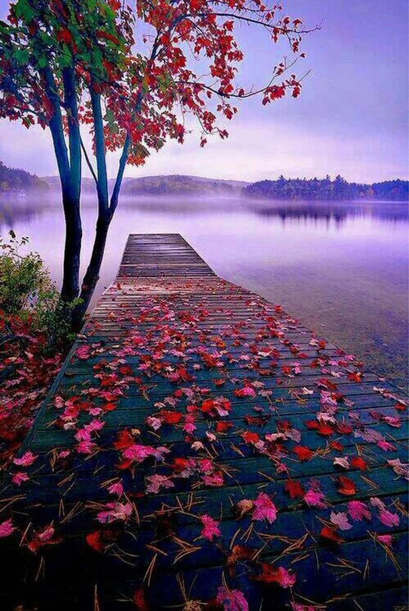 Solo Amor (@purpurasoloamor) on Twitter photo <a href="/StephanieH9229/">🌷Stéphanie🌷</a> <a href="/leoneleone451/">Gianni</a> <a href="/IzabelleCova/">🌺 Iza 💦</a> <a href="/RobBean12/">Rob Bean</a> <a href="/leilasbsantos/">🇧🇷LEILA BOTELHO 🇧🇷🇮🇱</a> <a href="/Nataliya_Le/">Talena</a> <a href="/NoemRosales3/">Noemí Rosales</a> <a href="/Salam81485347/">Salam</a> <a href="/AwiexaB/">matahari</a> @Chandra1Vinod <a href="/TracyHa98463342/">Tracy Harris</a> <a href="/PptMary/">Electra ๑✿.๑¯`·❥🚫DM</a> <a href="/marinagarzon5/">marina Garzon</a> <a href="/MitsueMitsu/">Mitsue Butler 💍💖💎🎀</a> <a href="/faithtrusthope7/">Soňa</a> @Alenka03452251 <a href="/tuncay6969/">Tolga</a> <a href="/heroldbarton/">herold barton</a> <a href="/dalilabencomo/">Dalila</a> <a href="/Isobg69/">🕊🇮🇹🛫iso69🛬🇫🇷</a> <a href="/walidalhadad203/">freedom , time</a> @Lilinczykc_a <a href="/annakolovou/">Anna Kolovou💎</a> <a href="/elsufuen/">Susana Fuentes</a> <a href="/MandhirSingh19/">Mandhir Singh</a> <a href="/LOYALFAN1/">DONNA CARRIERE</a> <a href="/Silviadomi22G/">♕Lady in Red ❤</a> <a href="/Silau25/">♡Silvia♡</a> @Sweet__piccola <a href="/Verediana0077/">Silvia Regina</a> <a href="/MistressTepco/">꧁スカーレット緋色꧂36K🦩</a> <a href="/marina19619/">Marina</a> <a href="/mariana17385773/">Nathalie Maria</a> <a href="/MARINA98505146/">MARINA***~•°•~***🖤🤍</a> <a href="/SLARTZONE/">Stéphane Lefebvre</a> <a href="/purpuracocaes/">#Colombia</a> <a href="/purpuracocaes1/">@purpuracocaes</a> <a href="/poupouch48/">Vivi</a> <a href="/PosiePosie1212/">Posie</a> <a href="/leoprr01/">Amida</a> <a href="/hamzakhald/">hamza khald</a> <a href="/laiane020/">Laiane</a> <a href="/LifeRemakes/">Hollywood</a> <a href="/KarenBarryDavi1/">Karen Barry-Davies</a> <a href="/PattiBrookd/">Patti Brookd</a> <a href="/RobVan_Doesburg/">Rob van Doesburg</a> <a href="/fryld/">Fryl dnc</a> <a href="/StephanieH9229/">🌷Stéphanie🌷</a> <a href="/leoneleone451/">Gianni</a> <a href="/IzabelleCova/">🌺 Iza 💦</a> <a href="/RobBean12/">Rob Bean</a> <a href="/leilasbsantos/">🇧🇷LEILA BOTELHO 🇧🇷🇮🇱</a> <a href="/Nataliya_Le/">Talena</a> <a href="/NoemRosales3/">Noemí Rosales</a> <a href="/Salam81485347/">Salam</a> <a href="/AwiexaB/">matahari</a> @Chandra1Vinod <a href="/TracyHa98463342/">Tracy Harris</a> <a href="/PptMary/">Electra ๑✿.๑¯`·❥🚫DM</a> <a href="/marinagarzon5/">marina Garzon</a> <a href="/MitsueMitsu/">Mitsue Butler 💍💖💎🎀</a> <a href="/faithtrusthope7/">Soňa</a> @Alenka03452251 <a href="/tuncay6969/">Tolga</a> <a href="/heroldbarton/">herold barton</a> <a href="/dalilabencomo/">Dalila</a> <a href="/Isobg69/">🕊🇮🇹🛫iso69🛬🇫🇷</a> <a href="/walidalhadad203/">freedom , time</a> @Lilinczykc_a <a href="/annakolovou/">Anna Kolovou💎</a> <a href="/elsufuen/">Susana Fuentes</a> <a href="/MandhirSingh19/">Mandhir Singh</a> <a href="/LOYALFAN1/">DONNA CARRIERE</a> <a href="/Silviadomi22G/">♕Lady in Red ❤</a> <a href="/Silau25/">♡Silvia♡</a> @Sweet__piccola <a href="/Verediana0077/">Silvia Regina</a> <a href="/MistressTepco/">꧁スカーレット緋色꧂36K🦩</a> <a href="/marina19619/">Marina</a> <a href="/mariana17385773/">Nathalie Maria</a> <a href="/MARINA98505146/">MARINA***~•°•~***🖤🤍</a> <a href="/SLARTZONE/">Stéphane Lefebvre</a> <a href="/purpuracocaes/">#Colombia</a> <a href="/purpuracocaes1/">@purpuracocaes</a> <a href="/poupouch48/">Vivi</a> <a href="/PosiePosie1212/">Posie</a> <a href="/leoprr01/">Amida</a> <a href="/hamzakhald/">hamza khald</a> <a href="/laiane020/">Laiane</a> <a href="/LifeRemakes/">Hollywood</a> <a href="/KarenBarryDavi1/">Karen Barry-Davies</a> <a href="/PattiBrookd/">Patti Brookd</a> <a href="/RobVan_Doesburg/">Rob van Doesburg</a> <a href="/fryld/">Fryl dnc</a>