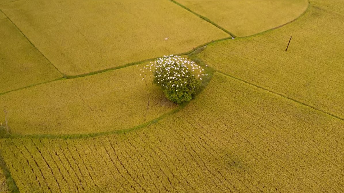 Overall just for remembering the most impactful episodes of this series, my ratings:1.  #OorIravu -(5/5)2.  #VaanMagal -.5(4.5/5)3.  #Thangam -.75(3.75)4.  #LovePannaUttranum -.75(2.75)Spl mention to music & cinematography worldclass!  #PaavaKadhaigal