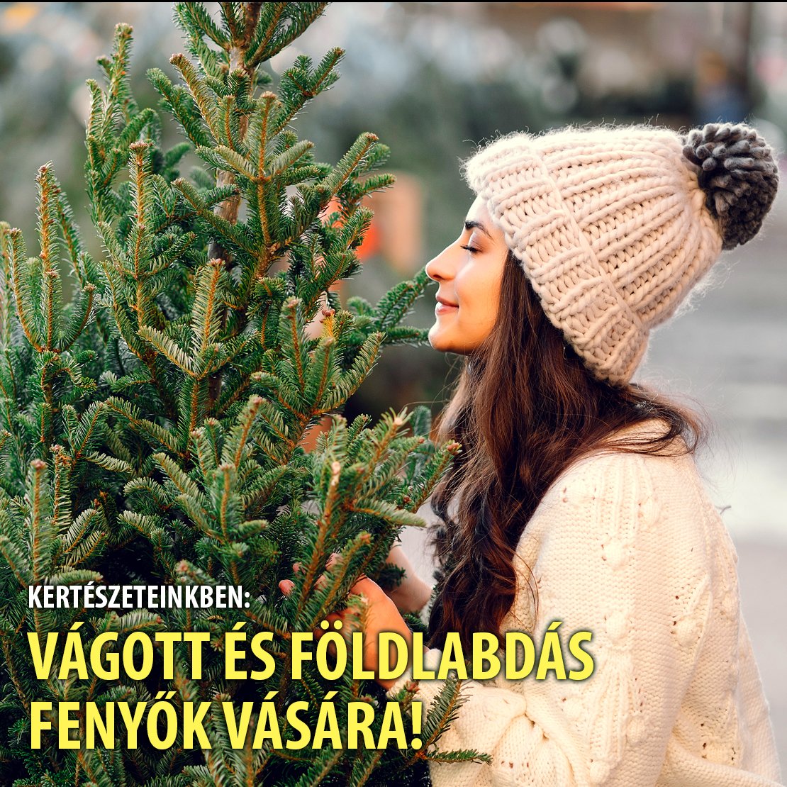 Fitoland's tweet photo. #Fenyővásár kertészeteinkben!
https://t.co/AOsYhAJTu8 https://t.co/WC7QF42oNn
